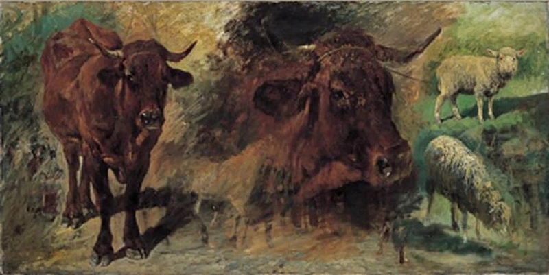 Studio di animali